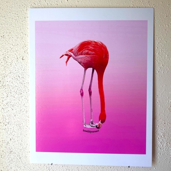 “Pink Majesty” Flamingo |Original Photography/Digital Design 11X14 Poster board - Picture 3 of 5